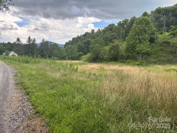 Bakersville, NC 28705,TBD Robert Phillips RD