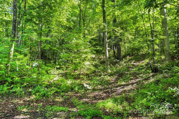 Marion, NC 28752,Lot #76 Hunnicut Spur RD