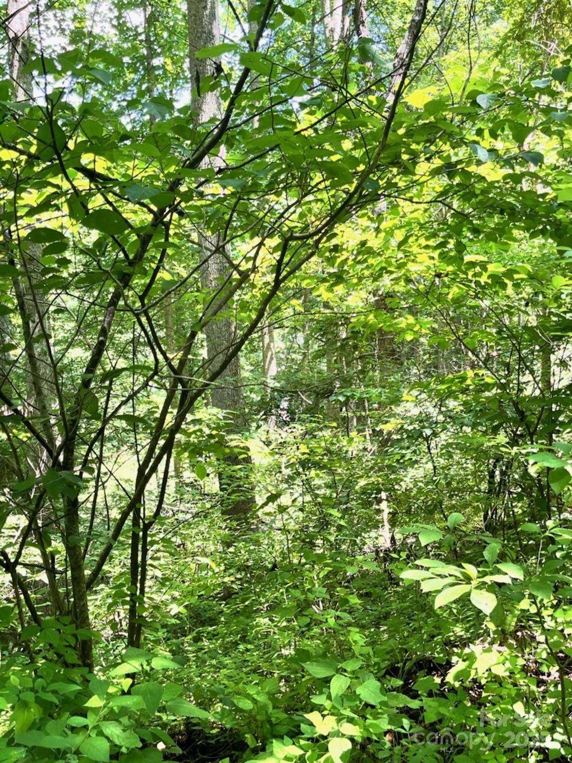 287 Indian Camp Creek RD, Hot Springs, NC 28743