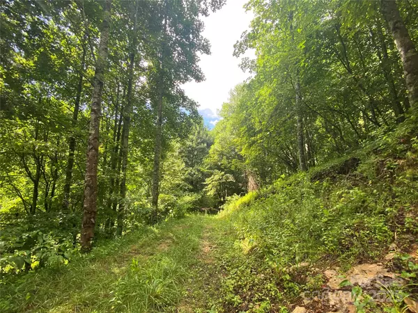 Marshall, NC 28753,99999 Foster Creek RD