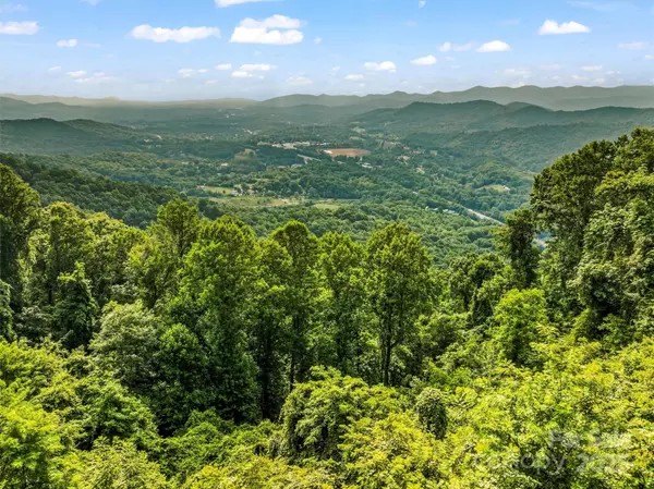 9999 Blue Ridge View DR, Canton, NC 28716