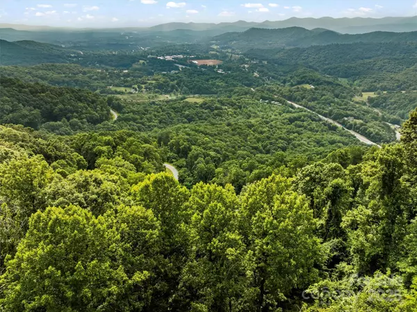 Canton, NC 28716,9999 Blue Ridge View DR