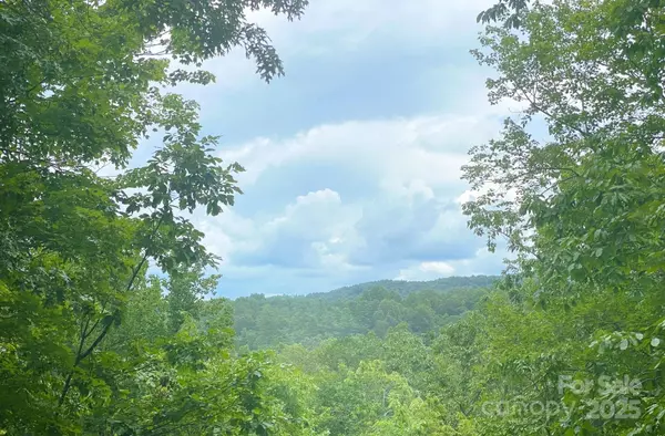 Lake Lure, NC 28746,590 Raven BLVD
