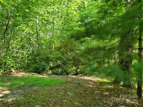 Saluda, NC 28773,00 Staton Ridge RD