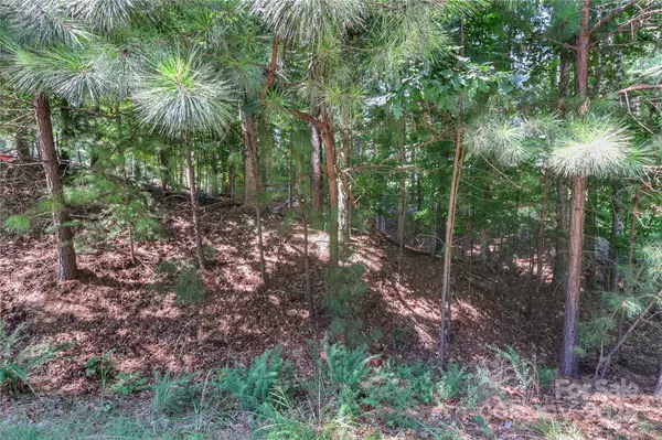 Mooresville, NC 28117,496 Kenway LOOP