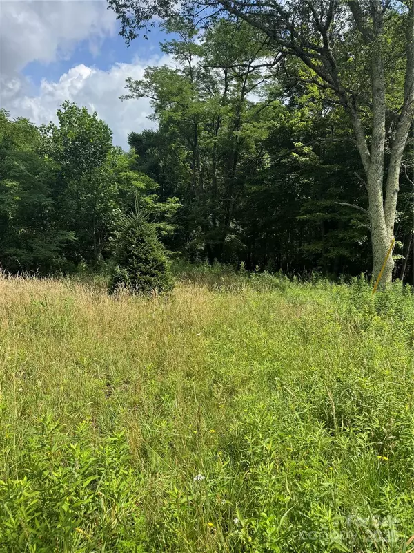 Newland, NC 28657,TBD Little Squirrel Creek RD
