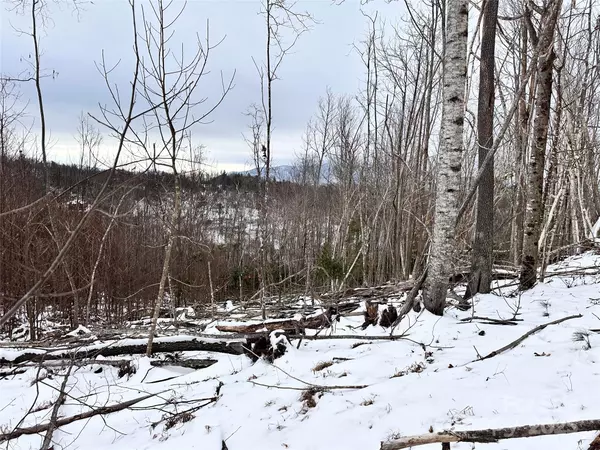 Elk Park, NC 28622,0000 Lot 78 Black Bear XING