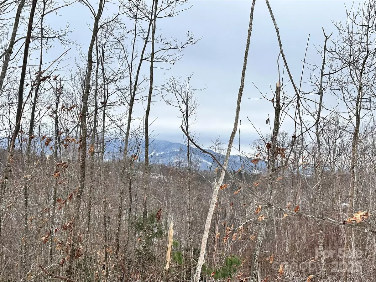 Elk Park, NC 28622,0000 Lot 78 Black Bear XING
