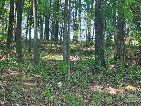 Lancaster, SC 29720,0000 Deer Tract CIR