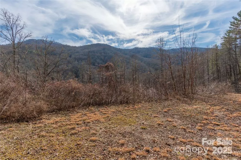Cullowhee, NC 28723,2220 (Tract 2) Tilley Creek RD