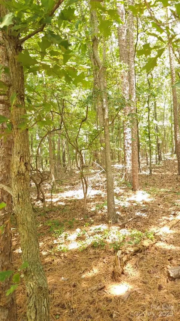 Peachland, NC 28133,TBD Traywick RD