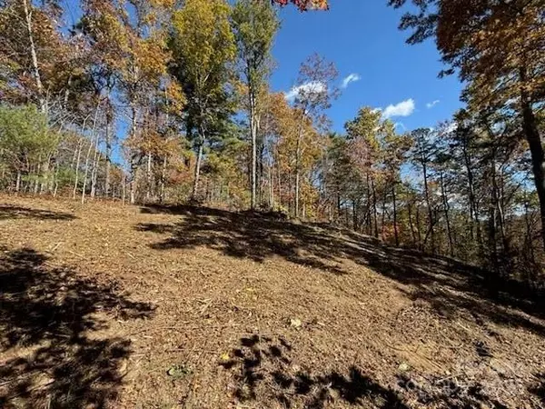 Zirconia, NC 28790,130 Brown Bear Ridge TRL