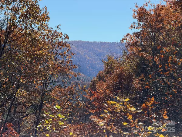 Zirconia, NC 28790,130 Brown Bear Ridge TRL