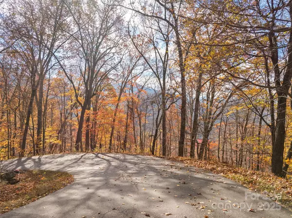 Waynesville, NC 28786,Lot 44 Weatherwatch DR #44