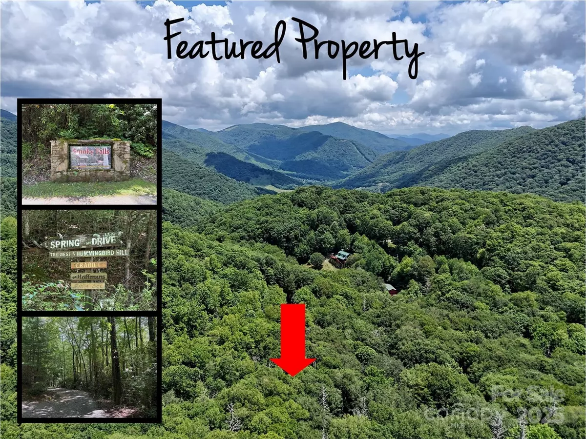 Maggie Valley, NC 28751,Lot #60 Yonder TRL