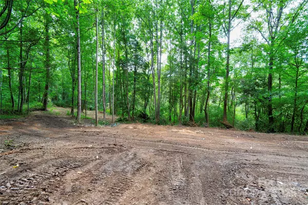 Lawndale, NC 28090,141 Knob Creek DR