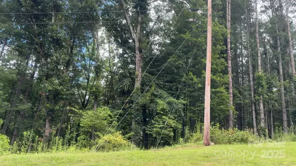 Bakersville, NC 28705,456 Duck BR