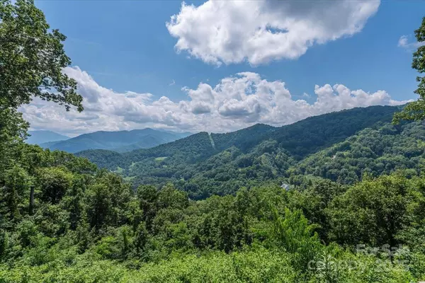 Waynesville, NC 28785,316 Fincher Mountain RD