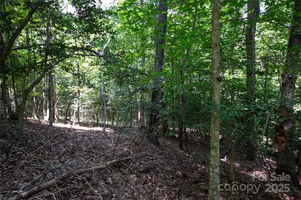 Lenoir, NC 28645,LOT 110 Stoney Brook DR #110