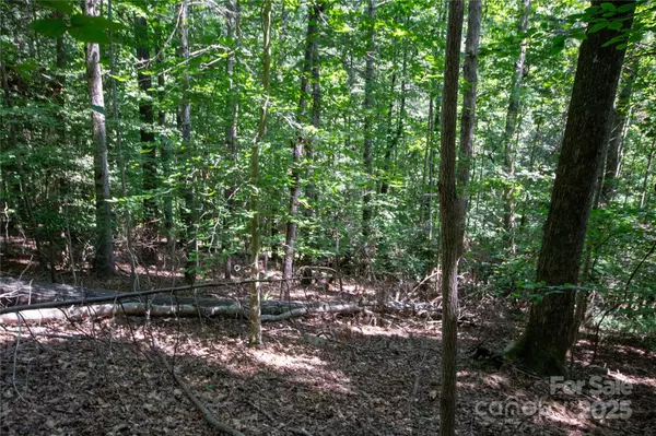 Lenoir, NC 28645,LOT 113 Stoney Brook DR #113