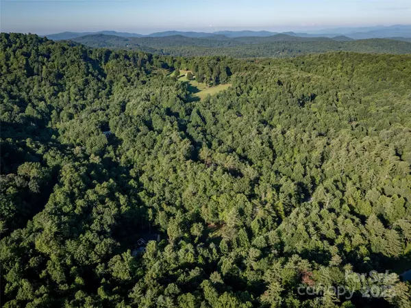Brevard, NC 28712,1571 Eagle Lake DR