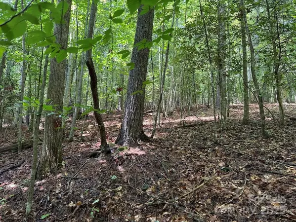 Lenoir, NC 28645,00 Hundred Acres LN