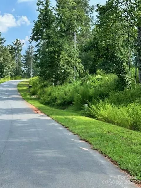 1905 Jumping RUN #203, Connelly Springs, NC 28612