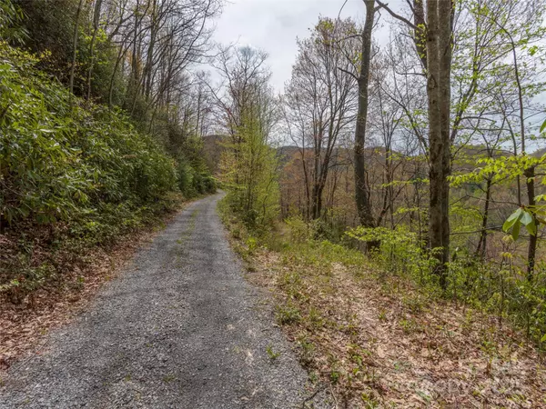 Maggie Valley, NC 28751,00 Hawk DR