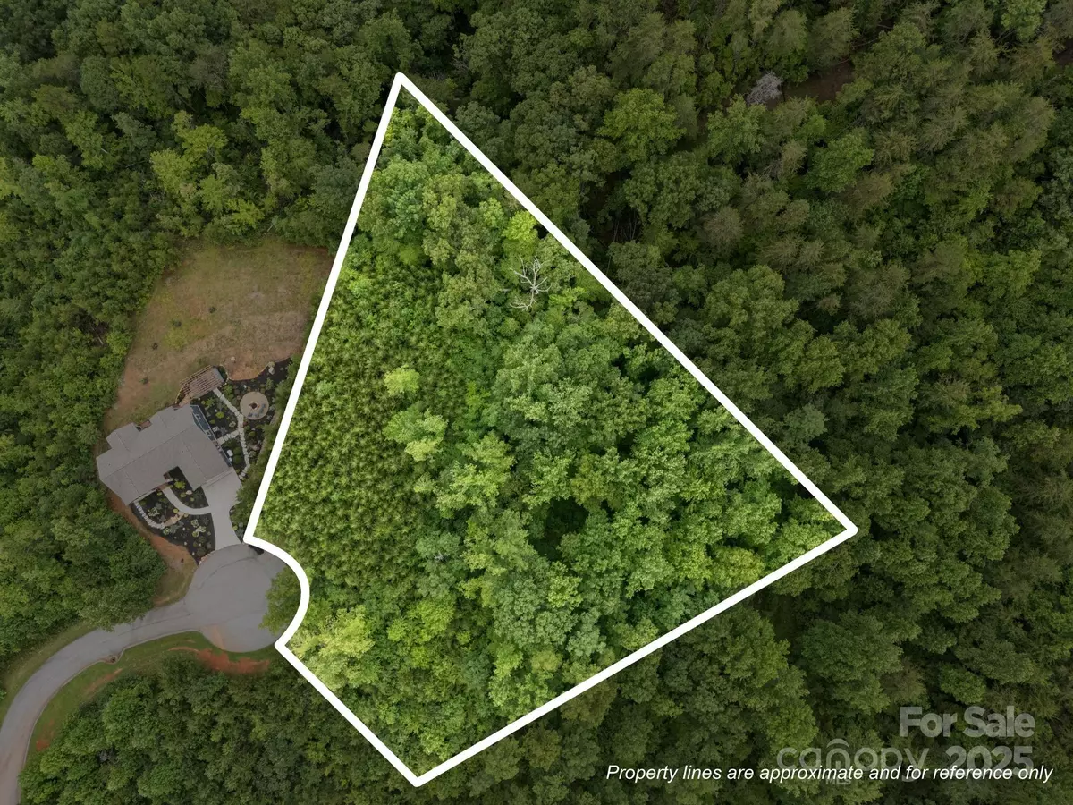 Lake Lure, NC 28746,00000 Deer Jump TRL #351