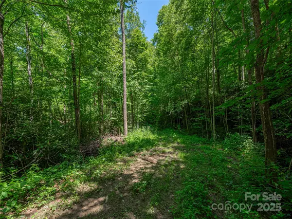 Waynesville, NC 28785,Lot B10 Rockmont RD