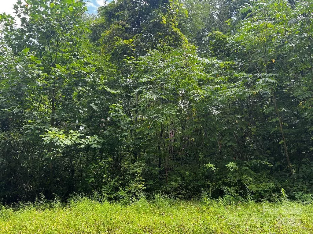 Whittier, NC 28789,LT 24 Llewellin LN