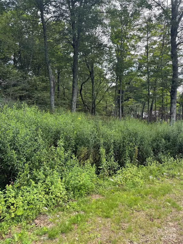 Sugar Mountain, NC 28604,Lot 108 Buena Vista LOOP