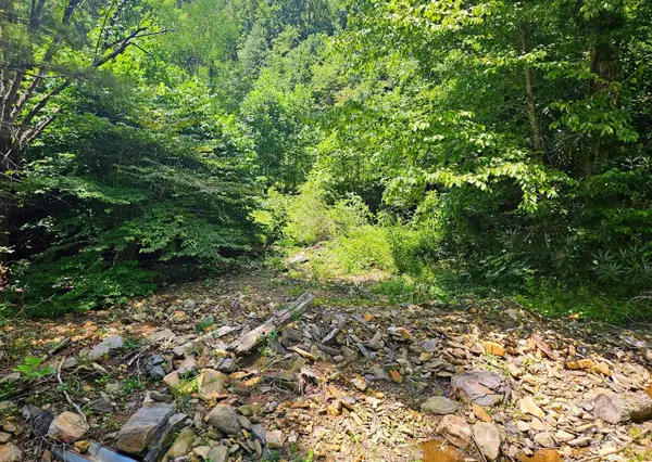 Burnsville, NC 28714,99 Banjo Branch RD