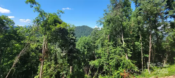 Waynesville, NC 28786,33 Destination DR