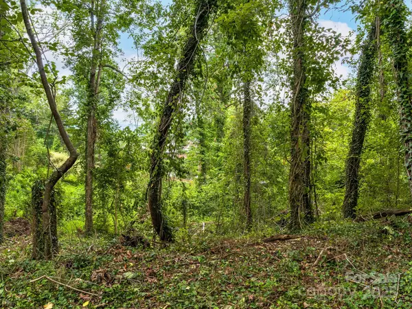 Asheville, NC 28804,99999 Windsor RD