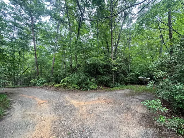 Rutherfordton, NC 28139,0 Travelers Rest LN