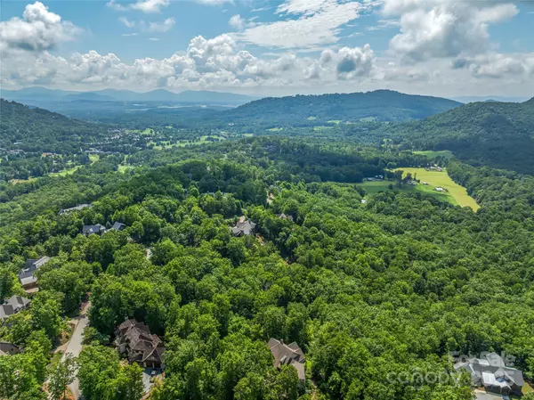 Arden, NC 28704,72 Smokey Ridge TRL #196