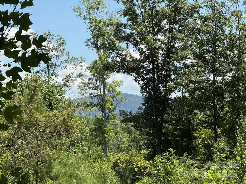 0 Collins RD #4, Bostic, NC 28018