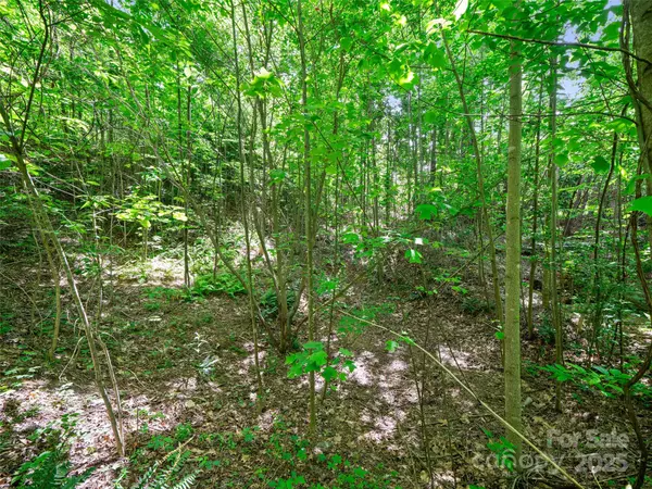 Hendersonville, NC 28791,99999 Millbrae LOOP N