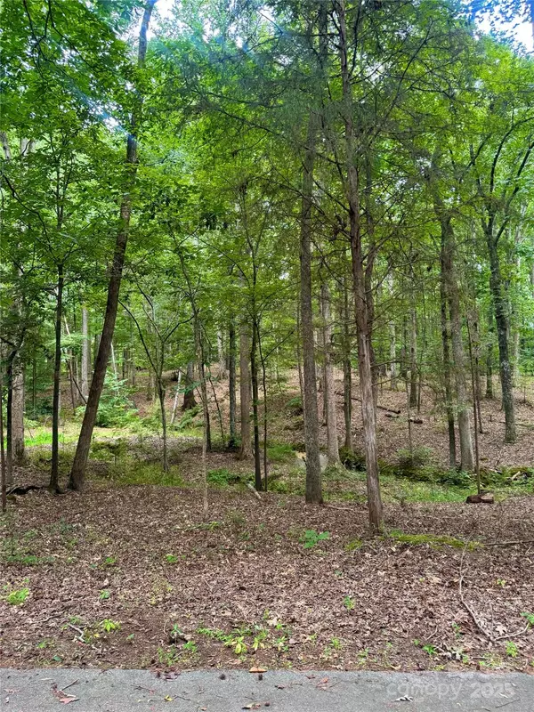 Fort Mill, SC 29707,Lot 6 Wilson DR #6
