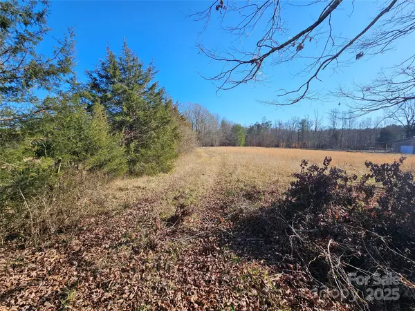 00 Mauney RD, Bessemer City, NC 28016