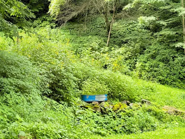 Waynesville, NC 28785,00 Trickle Creek RD