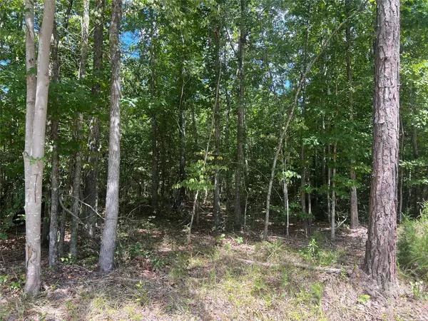 Gaffney, SC 29340,00 Blue Branch RD #Tract A