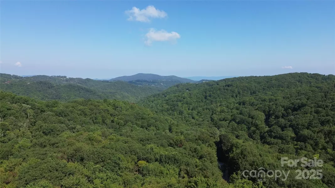 154 Raccoon RD, Beech Mountain, NC 28604