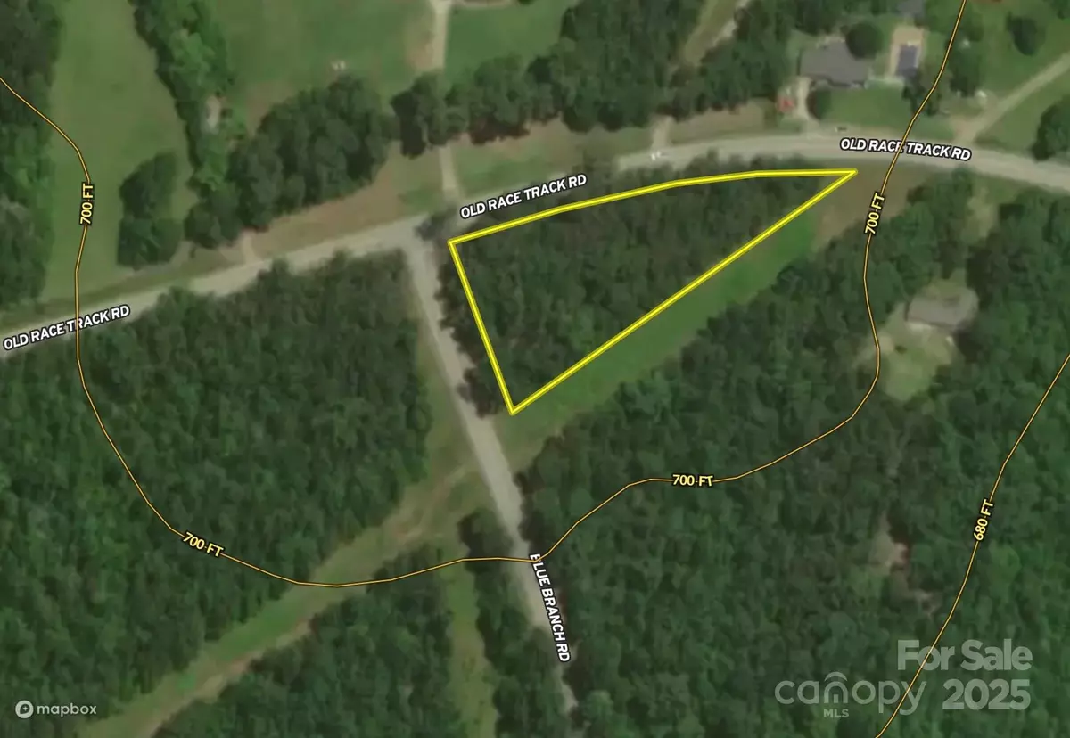 Gaffney, SC 29340,00 Blue Branch RD #Tract B