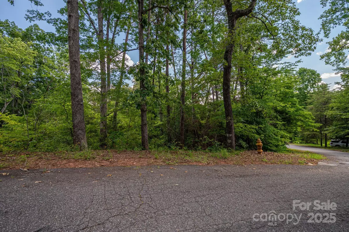 Rutherfordton, NC 28139,Lot 207 Plantation DR
