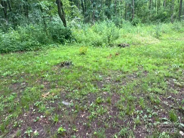 0 Bishop LN, Mill Spring, NC 28756
