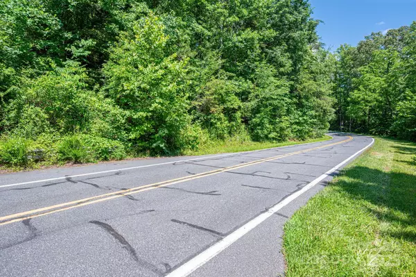 Rutherfordton, NC 28139,Lot 3 Cleghorn Mill RD