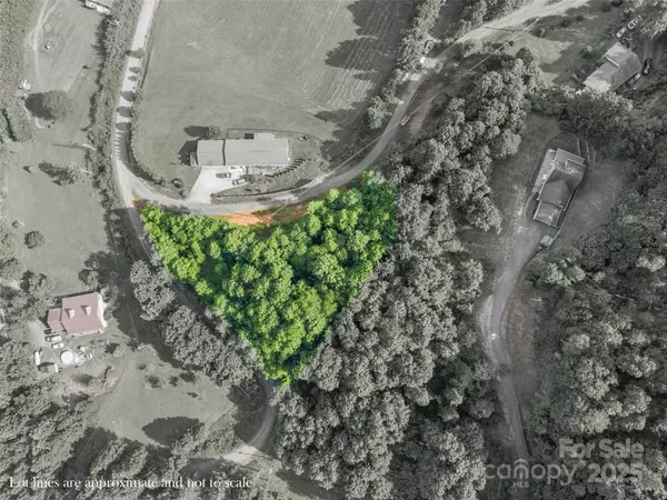 Burnsville, NC 28714,0 Majestic Mountain DR