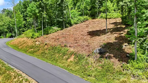 Spruce Pine, NC 28777,Lot 27 Summit View Pkwy